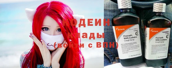 хмурый Алзамай