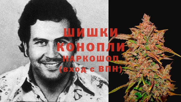 молекула духа Алексин
