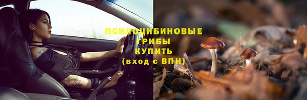 молекула духа Алексин