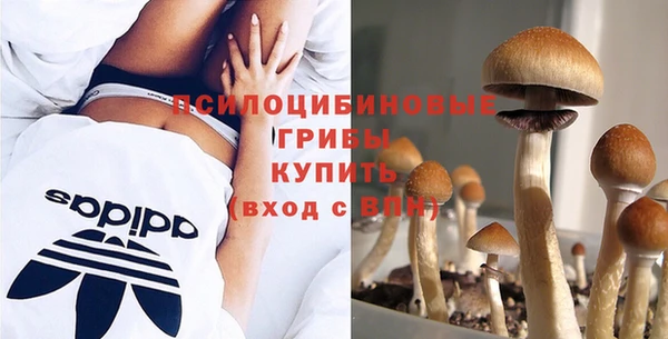хмурый Алзамай
