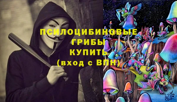 молекула духа Алексин