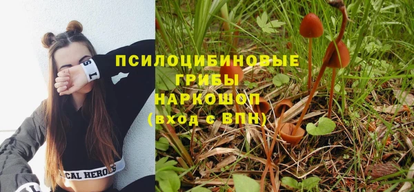 молекула духа Алексин