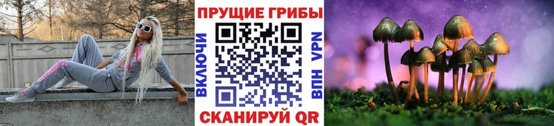 это телеграм  Асино  Галлюциногенные грибы мицелий  купить наркоту 