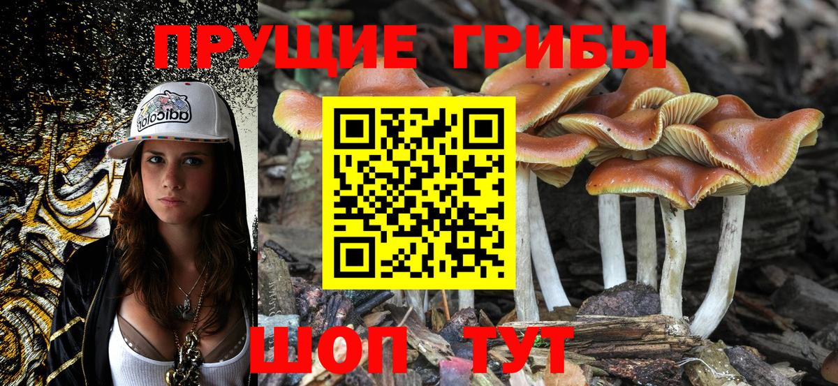 Псилоцибиновые грибы ЛСД  Галлюциногенные грибы Cubensis  Асино  Вход с VPN 