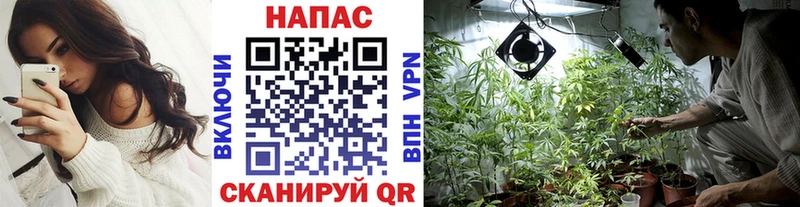 Каннабис семена  МЕГА ССЫЛКА  Асино  сайты даркнета клад  закладки 