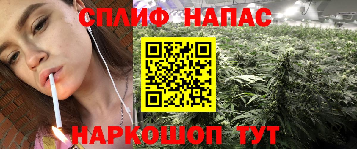 МАРИХУАНА сатива Асино
